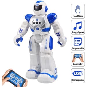 Sikaye RC Robot