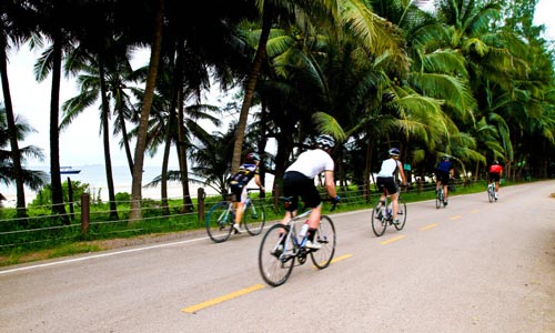 Rent a bicycle and go on a self-road exploration